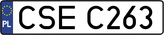 CSEC263