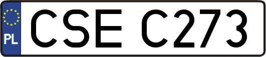 CSEC273