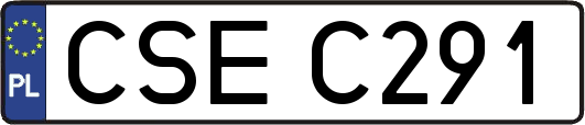CSEC291
