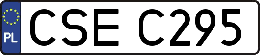 CSEC295