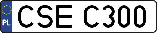 CSEC300