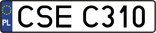 CSEC310