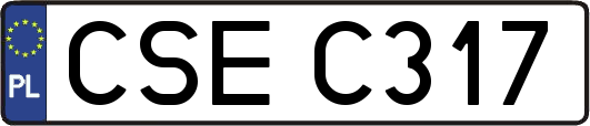CSEC317