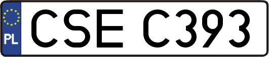 CSEC393