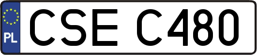 CSEC480