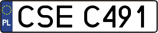 CSEC491
