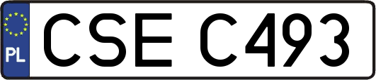 CSEC493