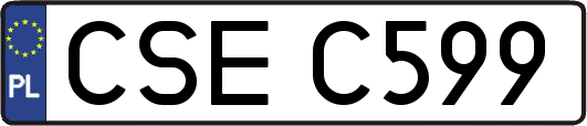 CSEC599