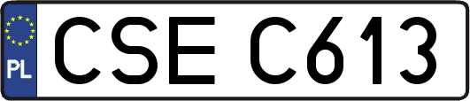 CSEC613