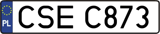 CSEC873