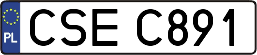 CSEC891