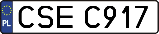 CSEC917