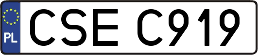 CSEC919
