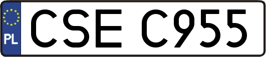 CSEC955