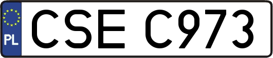 CSEC973