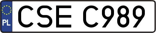 CSEC989