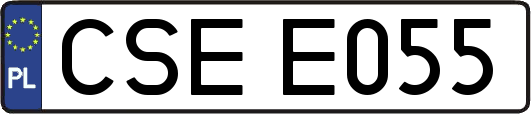 CSEE055