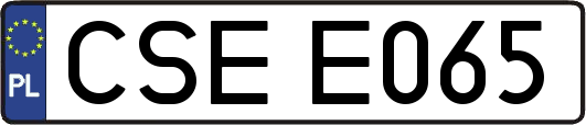 CSEE065