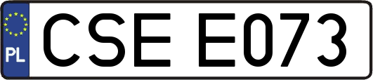 CSEE073