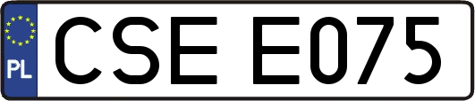 CSEE075