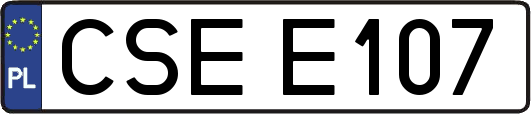 CSEE107