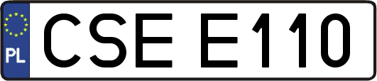 CSEE110