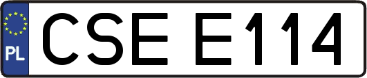 CSEE114