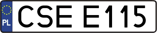 CSEE115