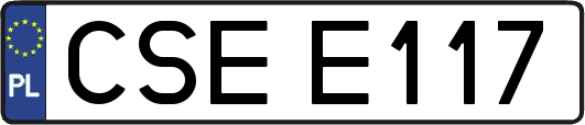 CSEE117
