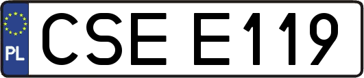 CSEE119