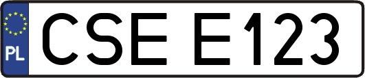 CSEE123
