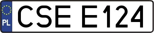 CSEE124