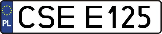 CSEE125