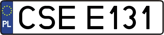 CSEE131