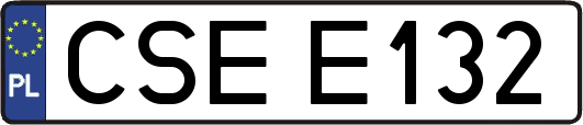 CSEE132