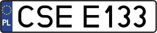 CSEE133