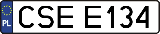 CSEE134