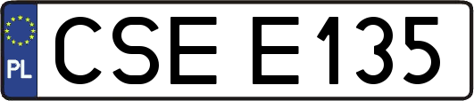 CSEE135