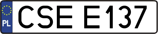 CSEE137