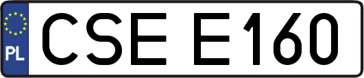 CSEE160