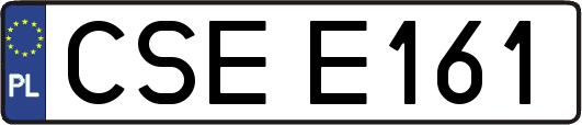CSEE161