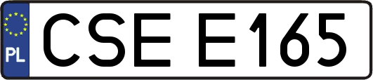 CSEE165