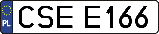 CSEE166