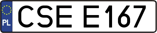 CSEE167