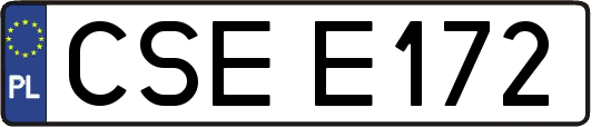 CSEE172
