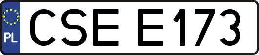 CSEE173