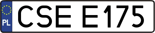 CSEE175