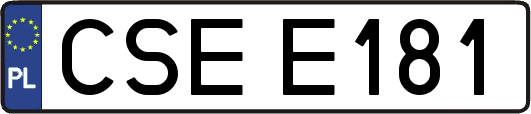 CSEE181