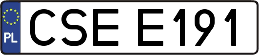 CSEE191