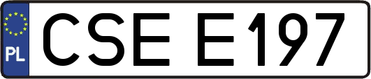 CSEE197